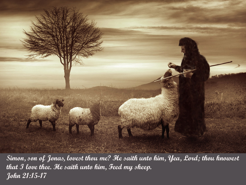 Peter Feed My Sheep